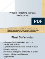 Protein Targeting in Plant Biofactories Explained
