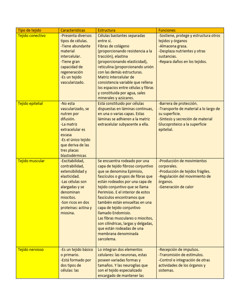 Cuadro Comparativo - Tipos de Tejido Aaog | PDF | Tejido conectivo | La ...
