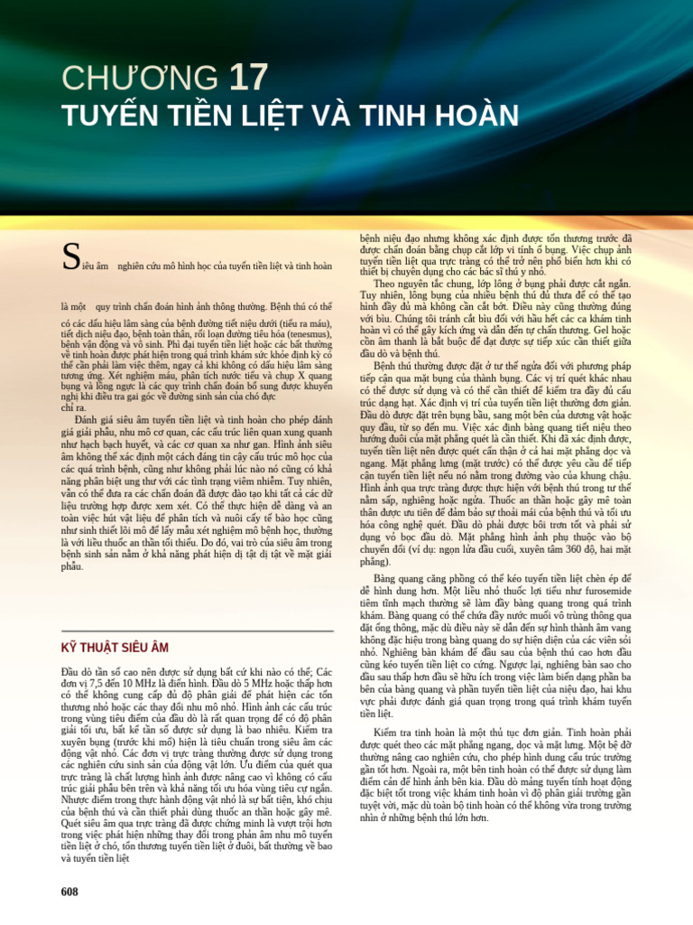 c17 tiền liệt | PDF