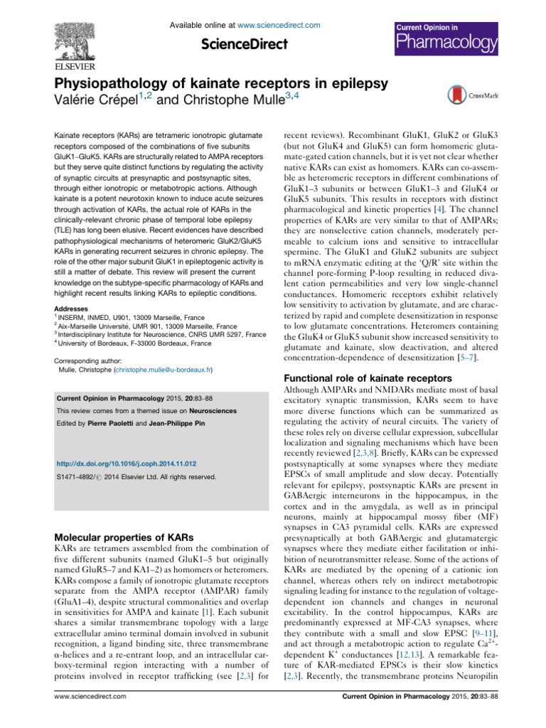 Crepel 2015 Physiopathology of Kainate Receptors in Epilepsy | PDF ...