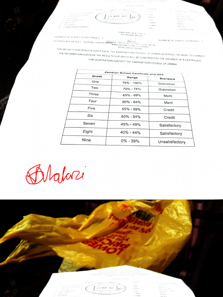 Grade 12 Certificate | PDF