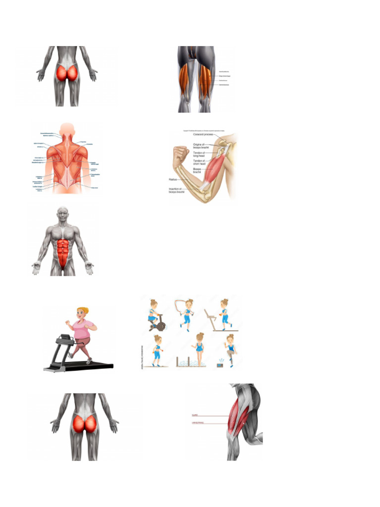 Gym | PDF