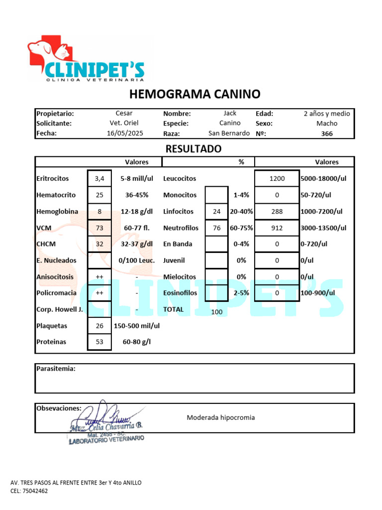 hemograma-canino-resultados-y-an-lisis-pdf