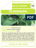 Schede Botaniche Filodendro