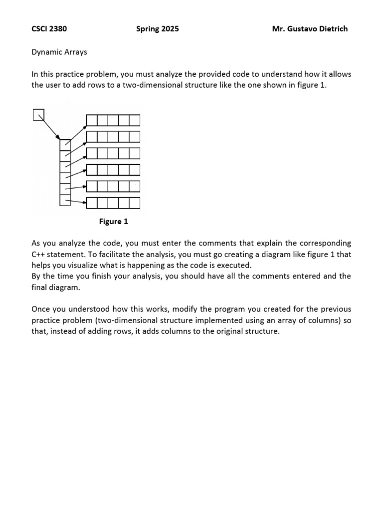 Practice Problem On Dyn Array Resize | PDF