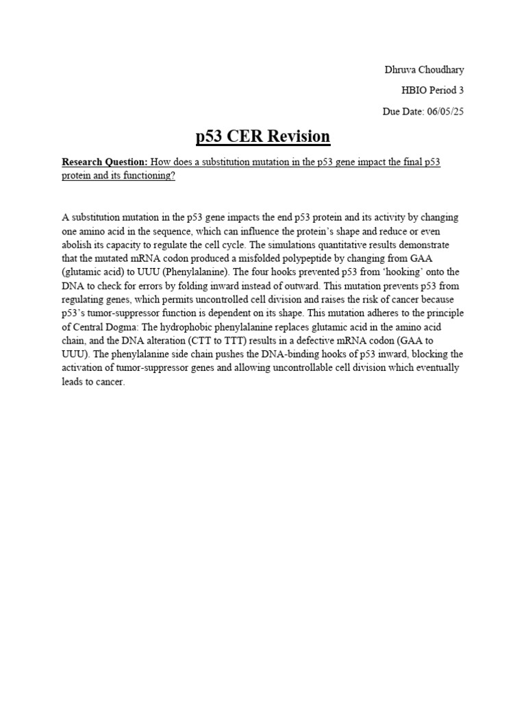p53 CER Revision | PDF