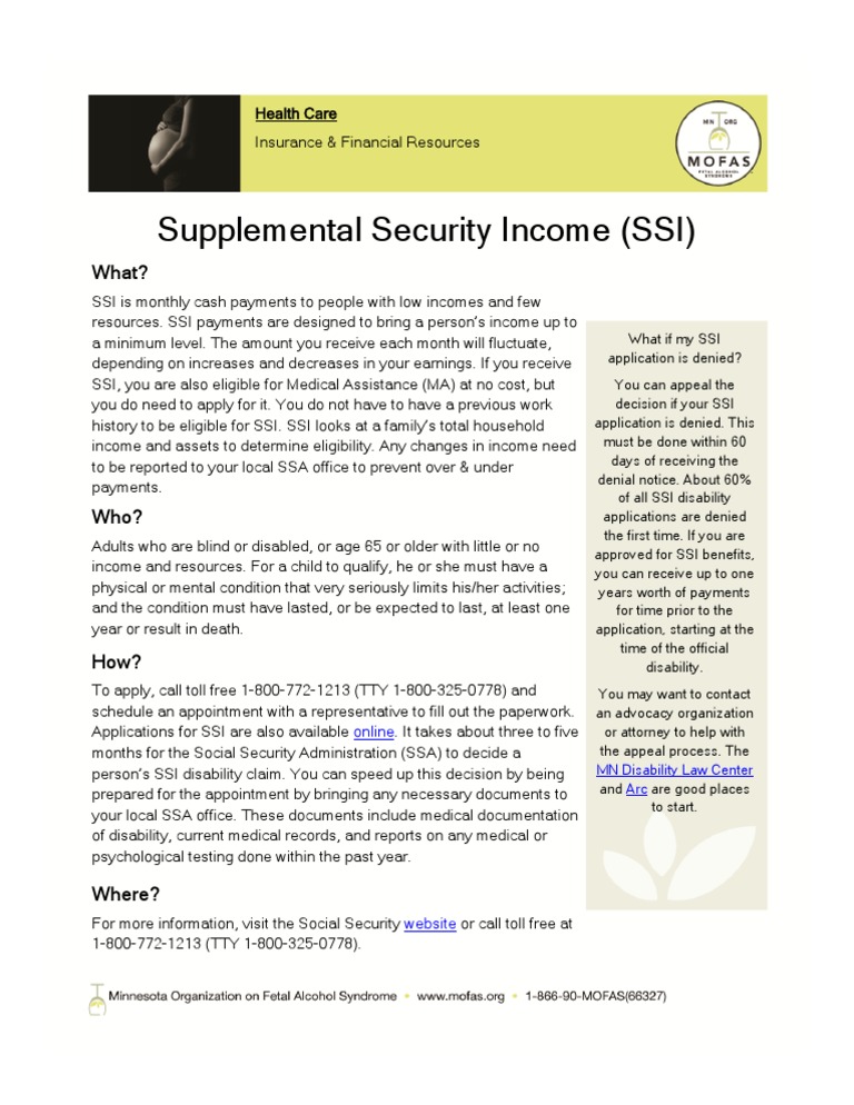 Supplemental Security Income | PDF