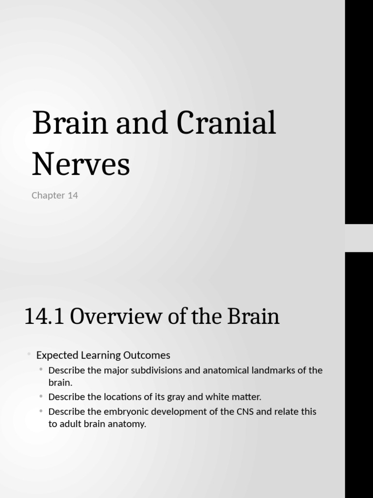 Overview of Brain Anatomy and Function | PDF | Cerebrospinal Fluid ...