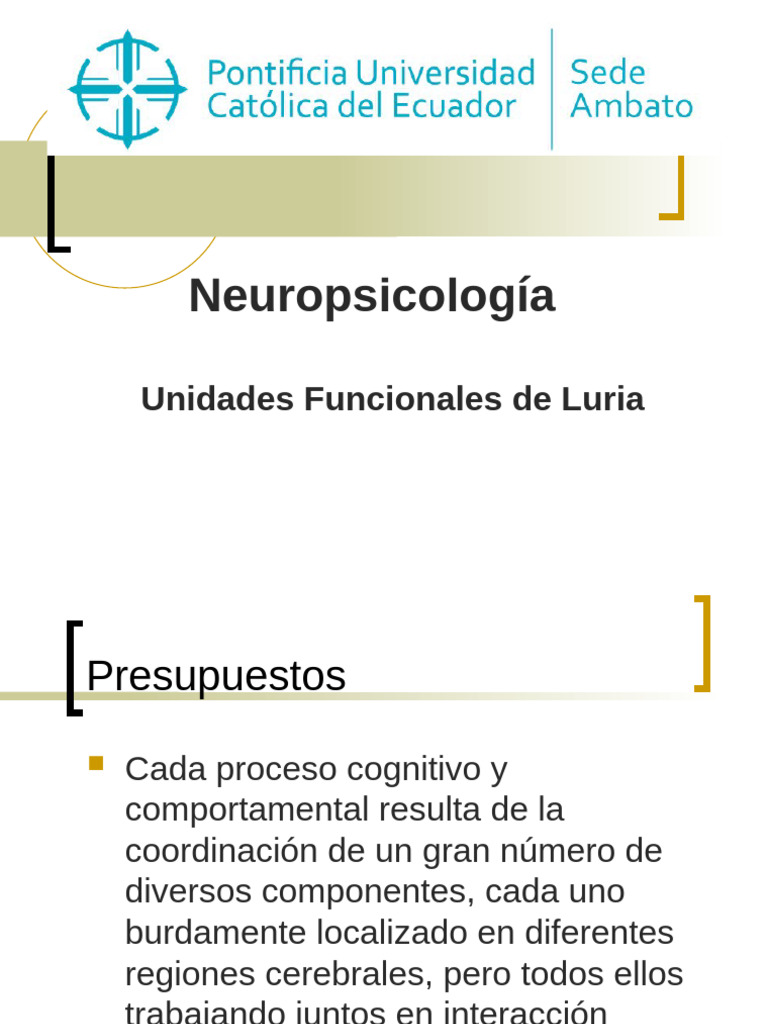 2 Fundamentos Conceptuales de La Nps. Unidades Funcionales de Luria ...