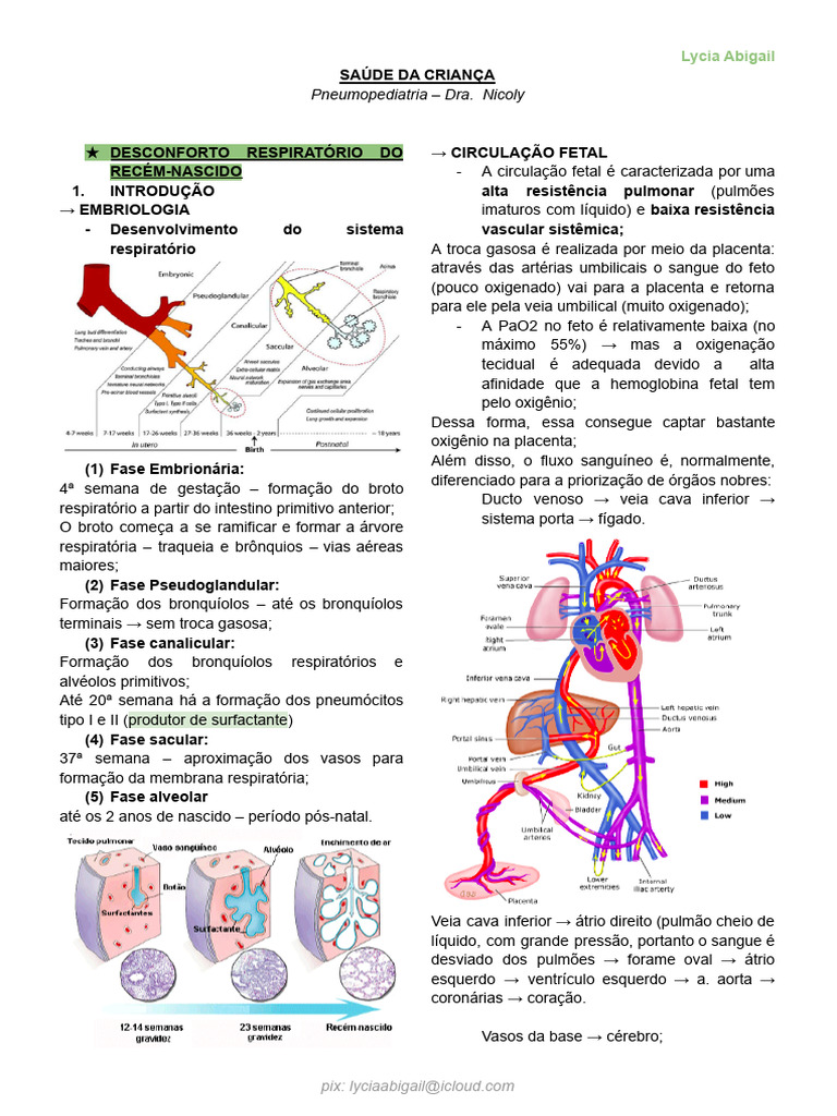 Desconforto Respiratório no Recém-Nascido | PDF | Respiração | Veia