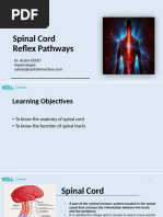 Anatomy and Function of DCML Pathway | PDF | Neuroscience | Nervous System