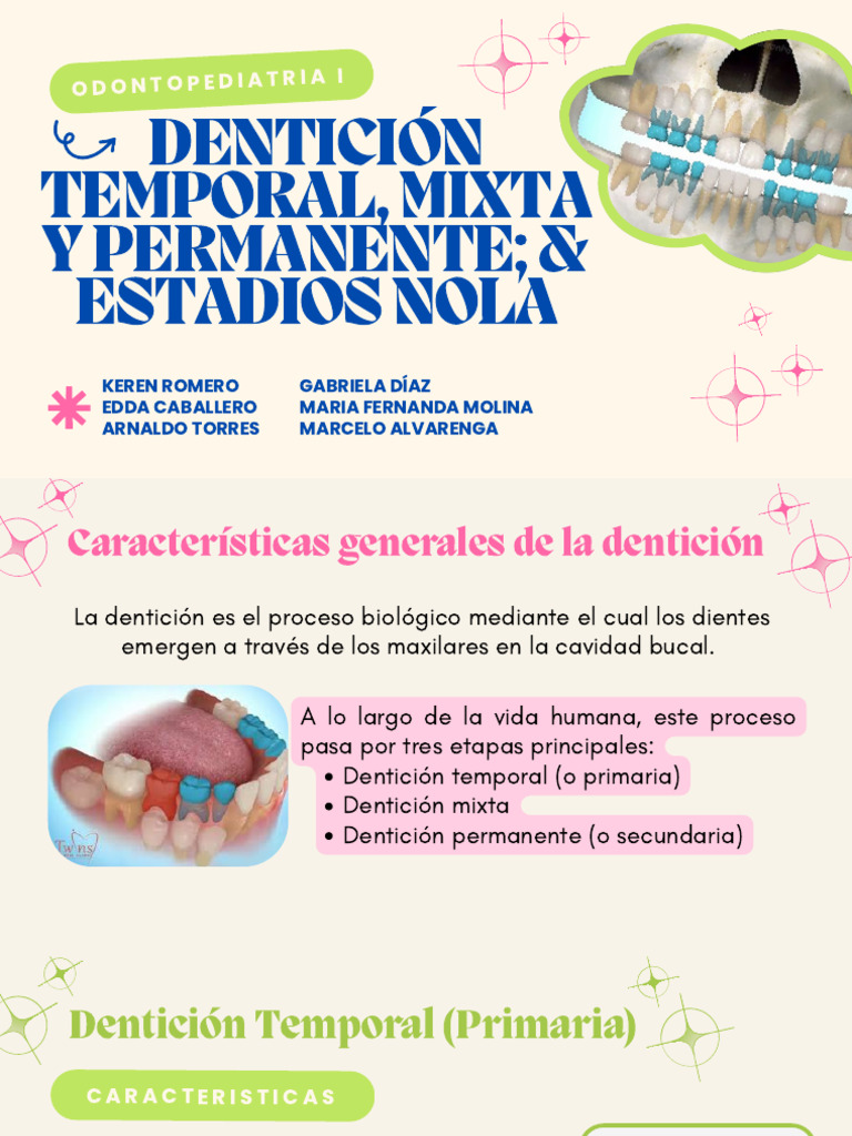 Dentición Temporal, Mixta y Permanente PDF | PDF | Diente | Anatomía de ...