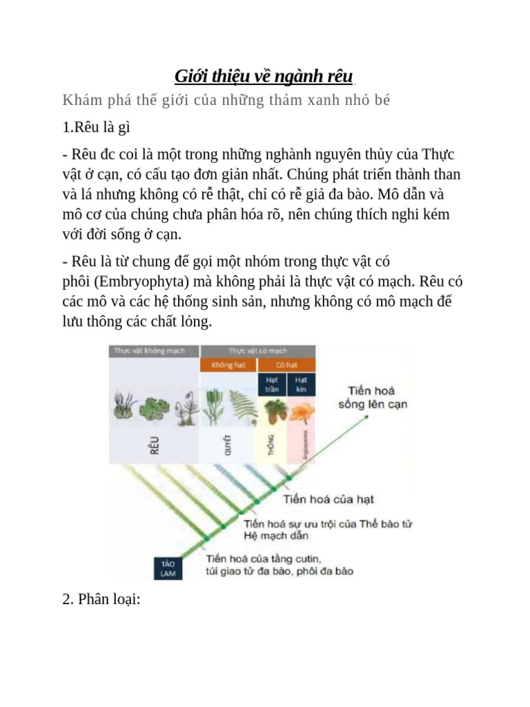 Giới Thiệu Về Ngành Rêu | PDF