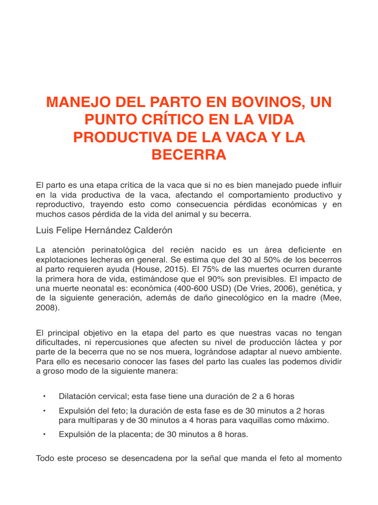 Manejo Efectivo del Parto en Bovinos | PDF | Parto | Vacas