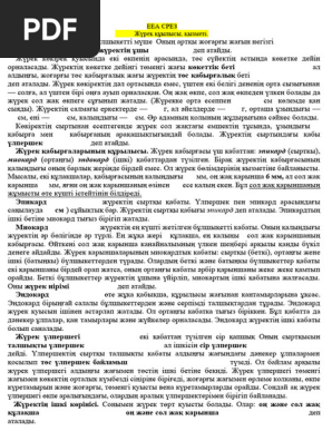 Порнодағы ыстық қыздар