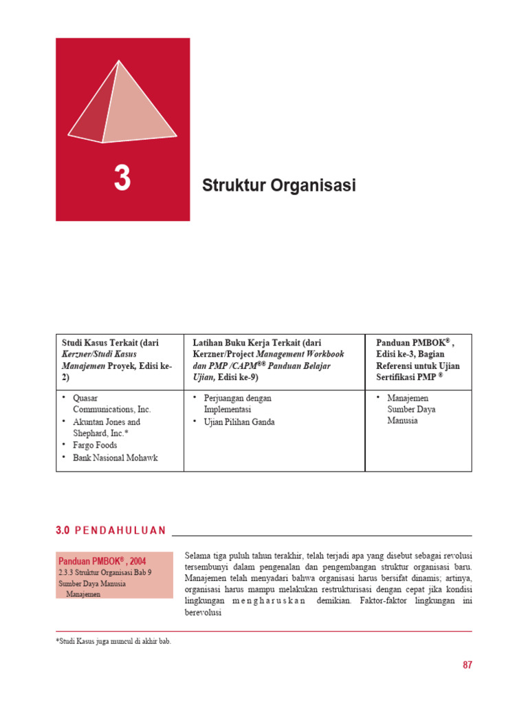 Struktur Organisasi dan Manajemen Proyek | PDF