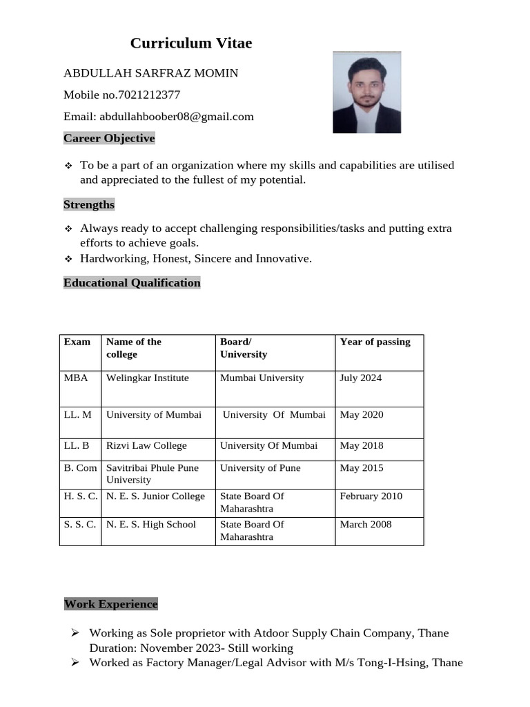 Abdullah Momin's CV Summary | PDF