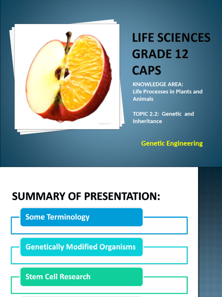 PP13 Genetic Engineering 1460380967 | PDF | Genetic Engineering ...
