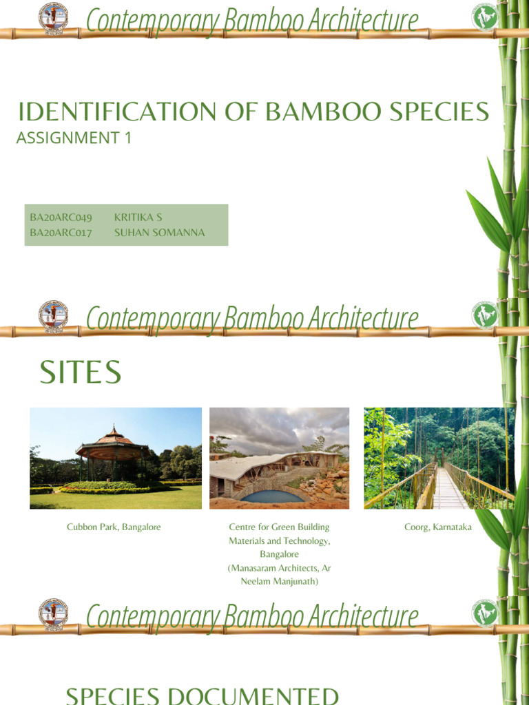 49,17 - Identification of Bamboo Species - Kritika, Suhan-Compressed ...