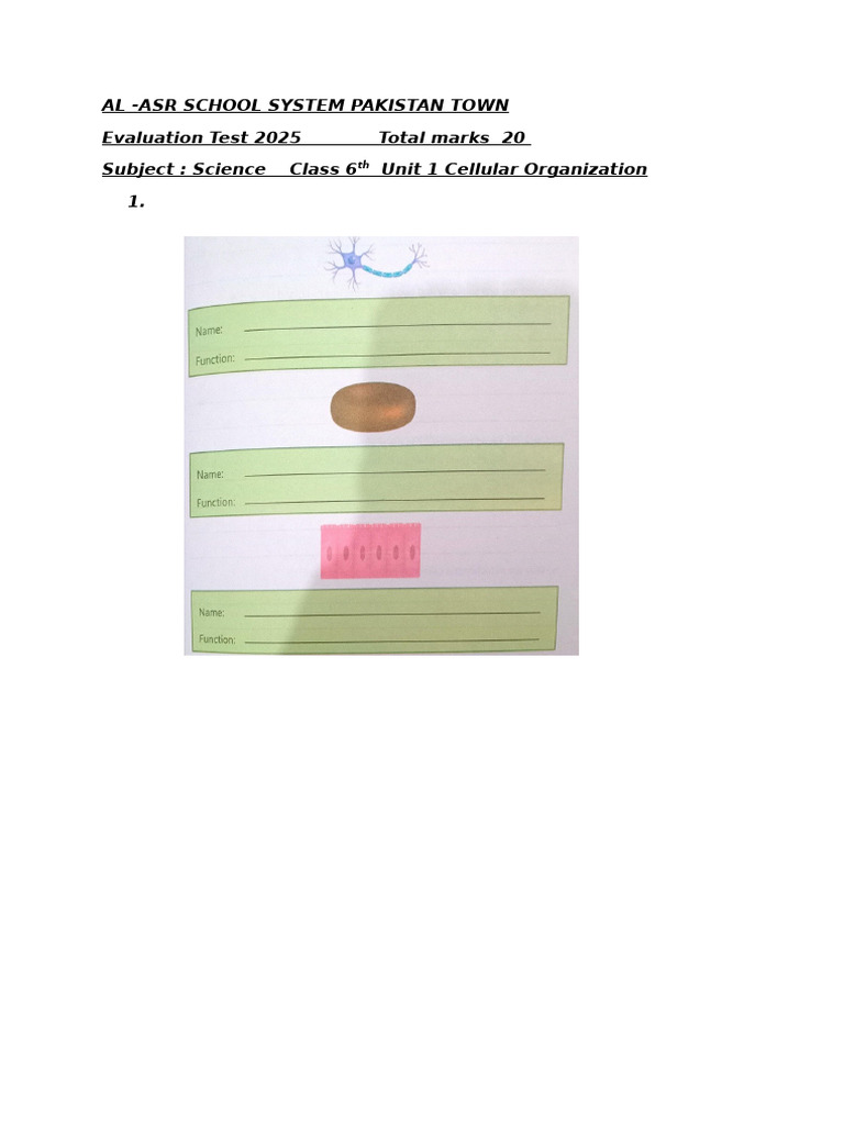 Class 7 Unit 2 Sun Series | PDF