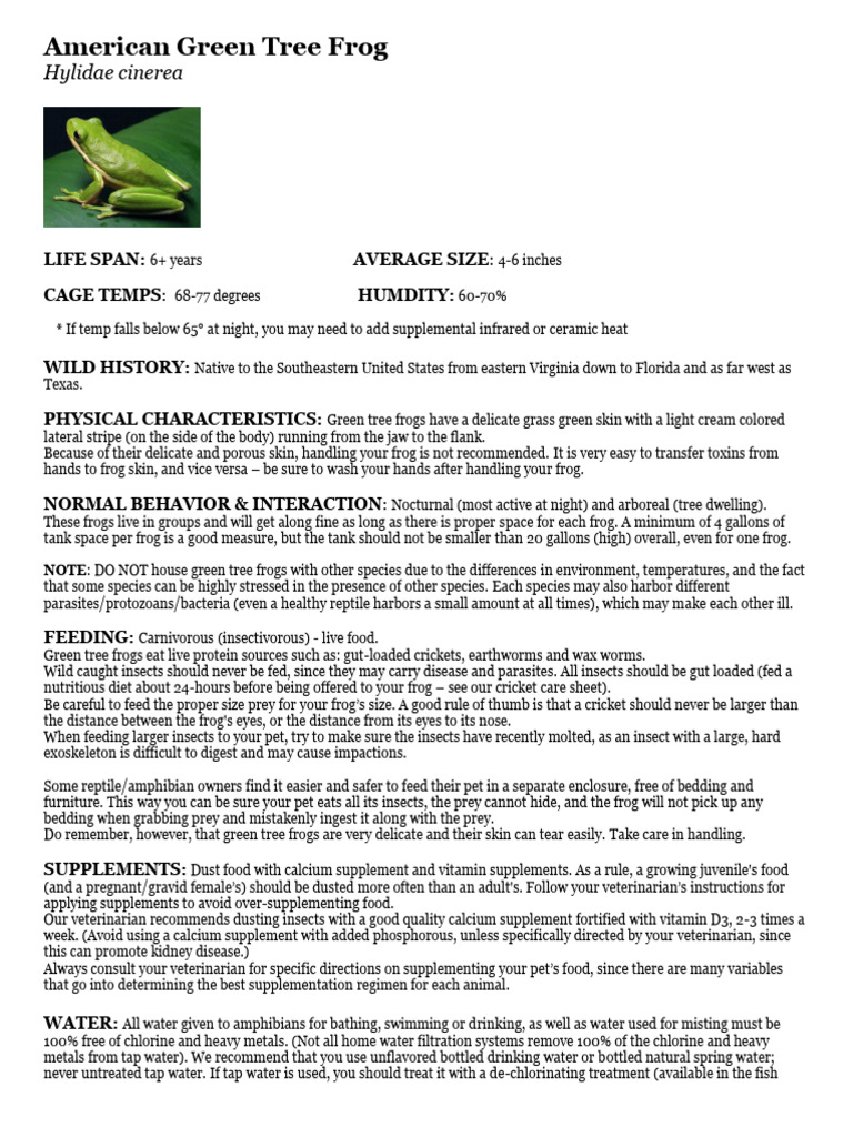 American Green Tree Frog Tank Guide | PDF | Frog | Ultraviolet