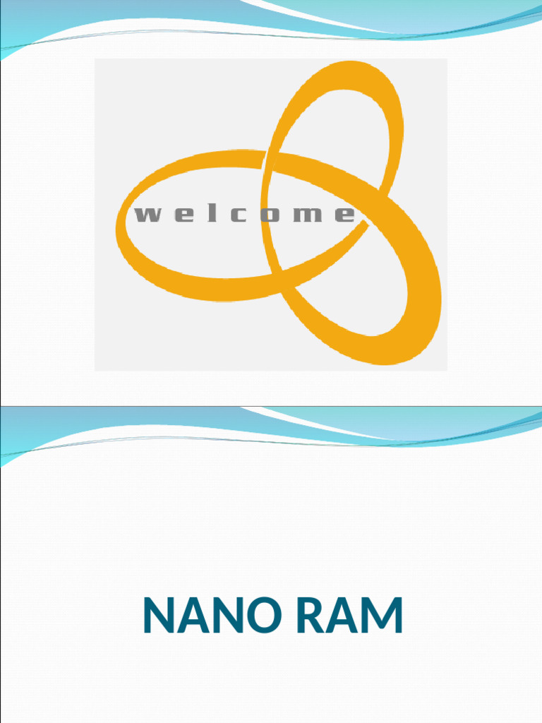 Nano Ram or Nram | PDF