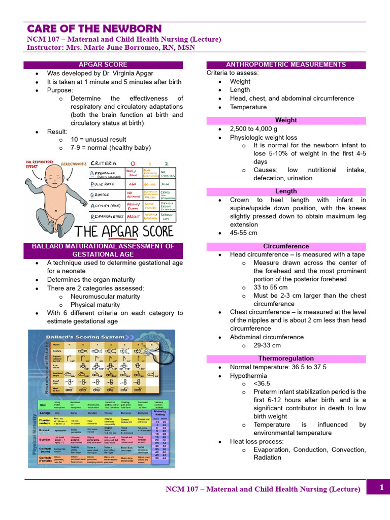 Newborn Care: Assessment & Health Guide | PDF | Infants | Anatomical ...