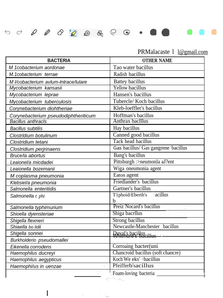 Common Bacteria and Their Names | PDF | Bacillus | Bacteria
