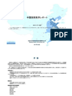 中国製鋼業界レポート - Sample Pages