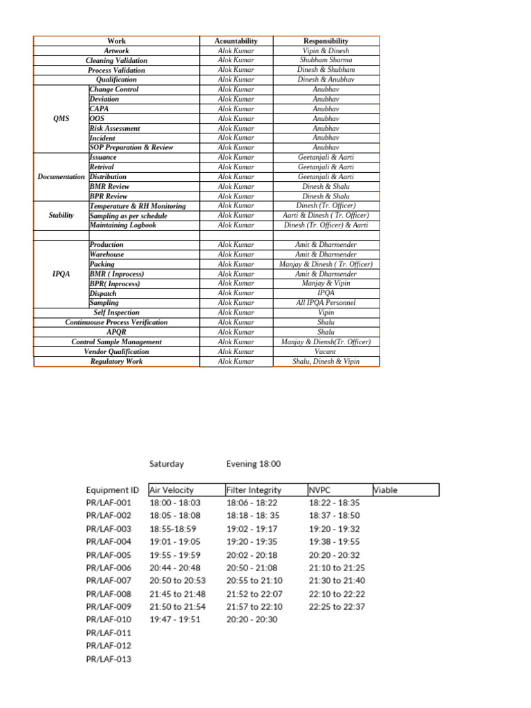 New Microsoft Excel Worksheet | PDF | Visual Cortex | Neuropsychology