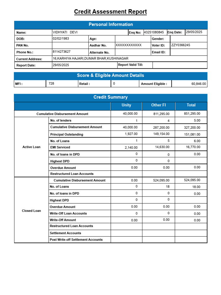 Comprehensive Credit Assessment Report | PDF | Loans | Microfinance