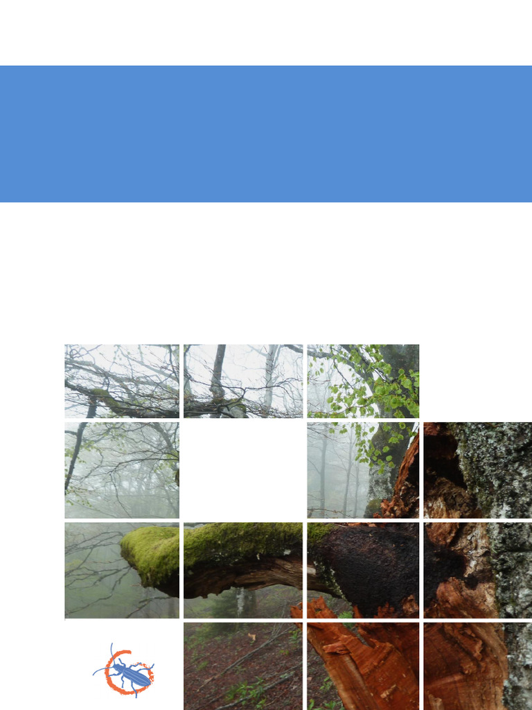 Tree Microhabitats Catalogue | PDF | Wood | Trees