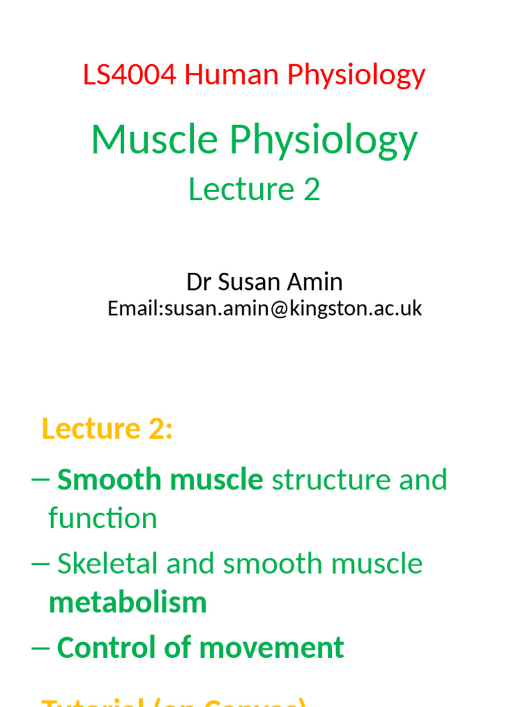 LS4004 Muscle Physiology 2 - Lecture-2 | PDF | Skeletal Muscle | Muscle ...