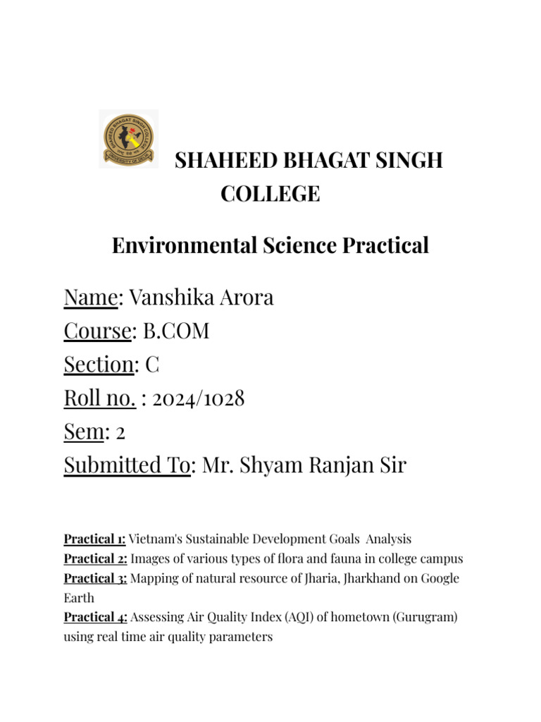 2024-1028 - Vanshika - C - EVS Practical File | PDF | Sustainability ...
