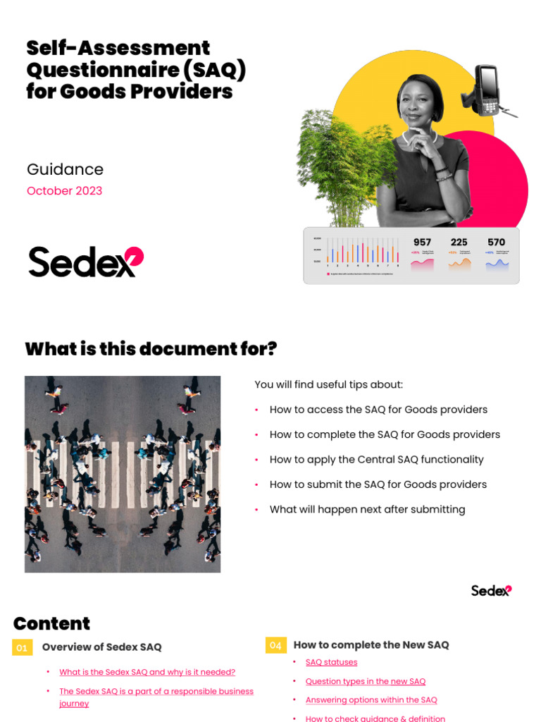 Sedex SAQ Guide for Goods Providers | PDF | Computing