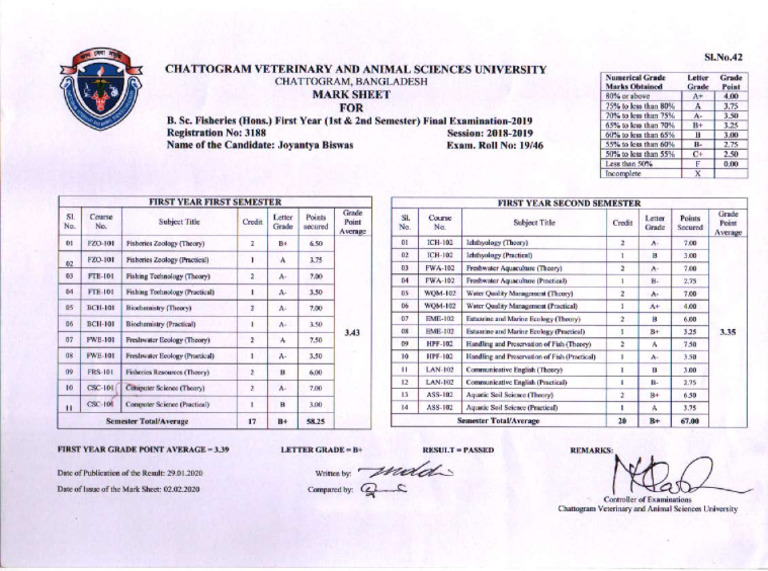 First Year Transcript | PDF