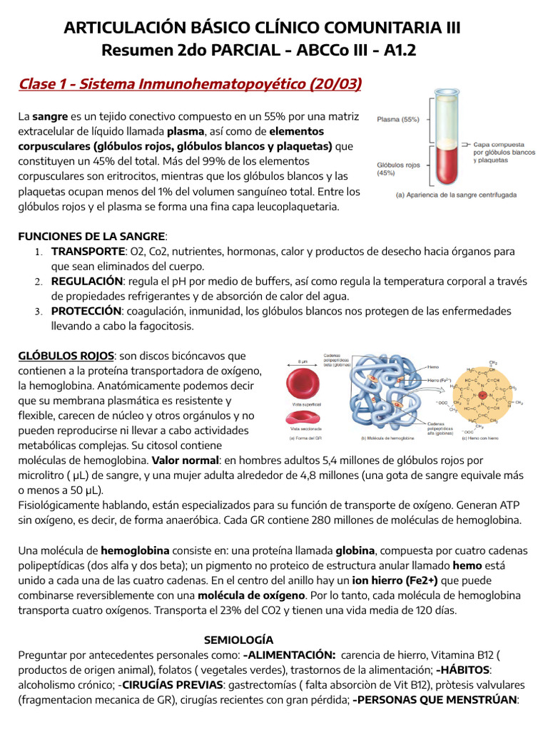 ABCCo III - Resumen 2DO PARCIAL | PDF | Sistema inmune | Diabetes