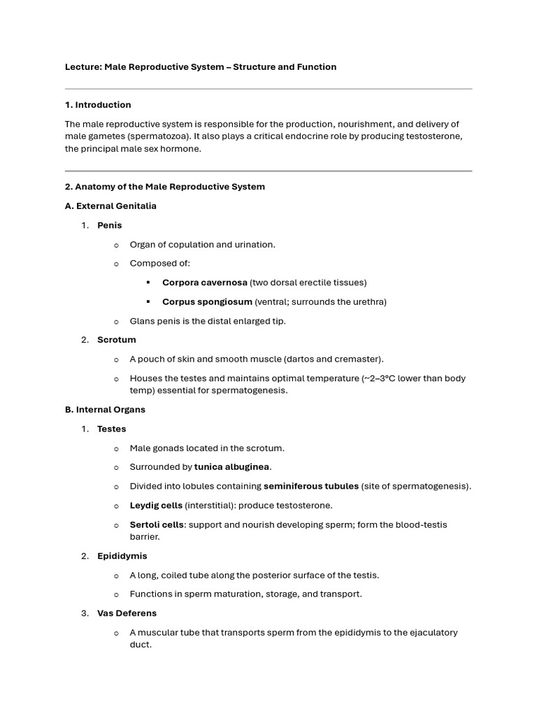 Human Reproductive System | PDF | Menstrual Cycle | Luteinizing Hormone