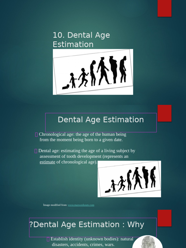10.dental Age Estimation | PDF | Tooth | Dentistry