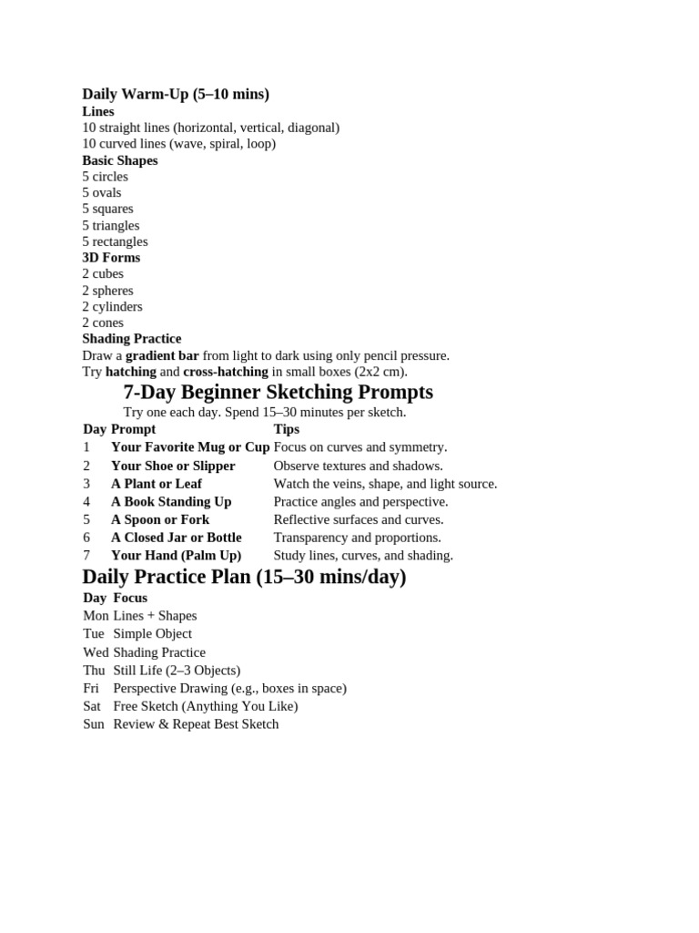 Beginner Daily Sketching Guide | PDF
