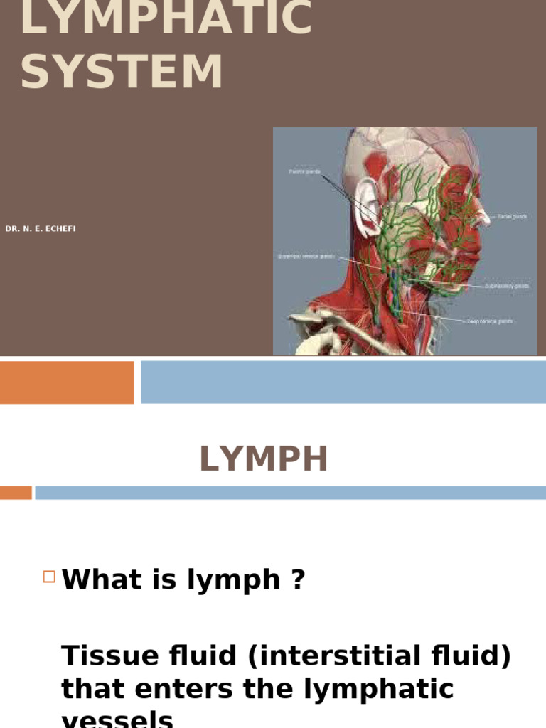 Understanding the Lymphatic System | PDF | Lymphatic System | Lymph