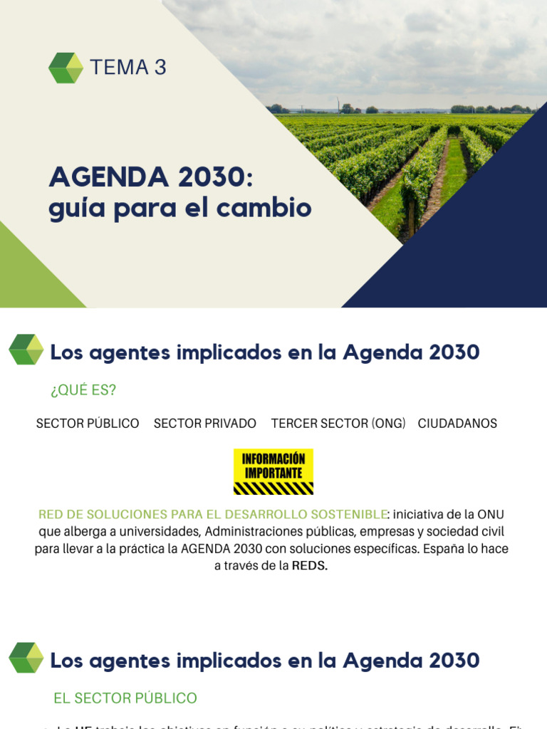 Empresas y su rol en la Agenda 2030 | PDF | Sustentabilidad | Entorno ...