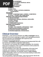 Download GIT Lecture  by dhainey SN8698815 doc pdf