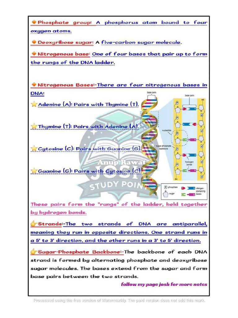 Dna | PDF