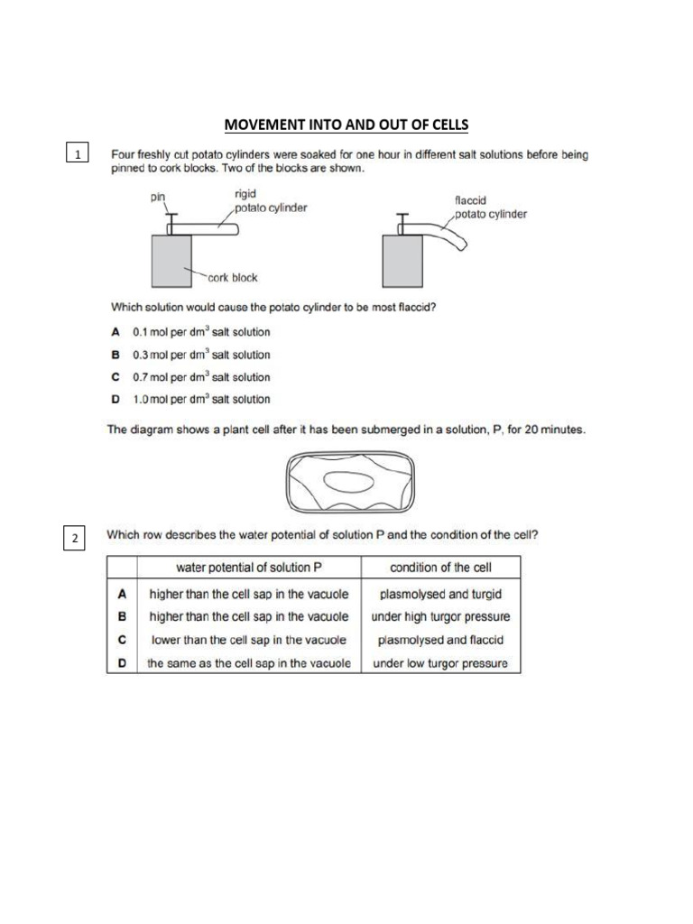 Quiz Movemnt Into and Out of Cells 2 | PDF