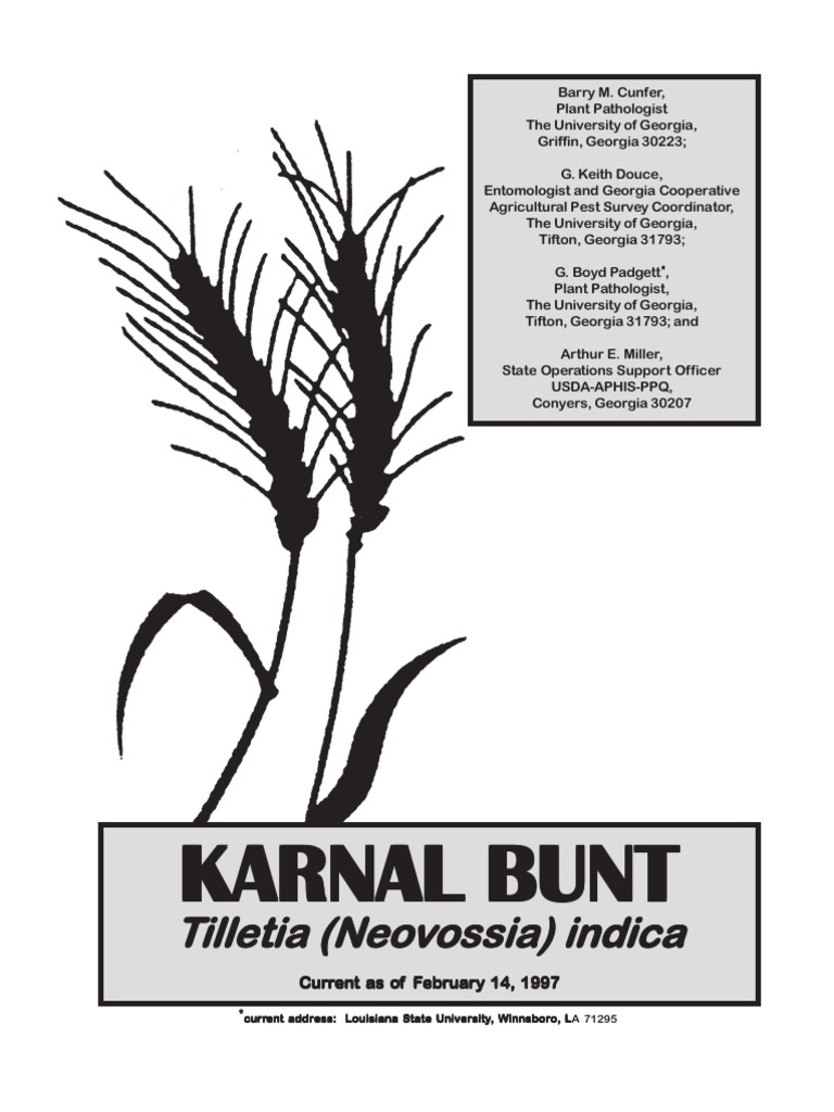 Karnal Bunt Karnal Bunt Karnal Bunt Karnal Bunt Karnal Bunt | Download ...