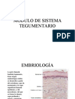 EmbriologiaTegumentario