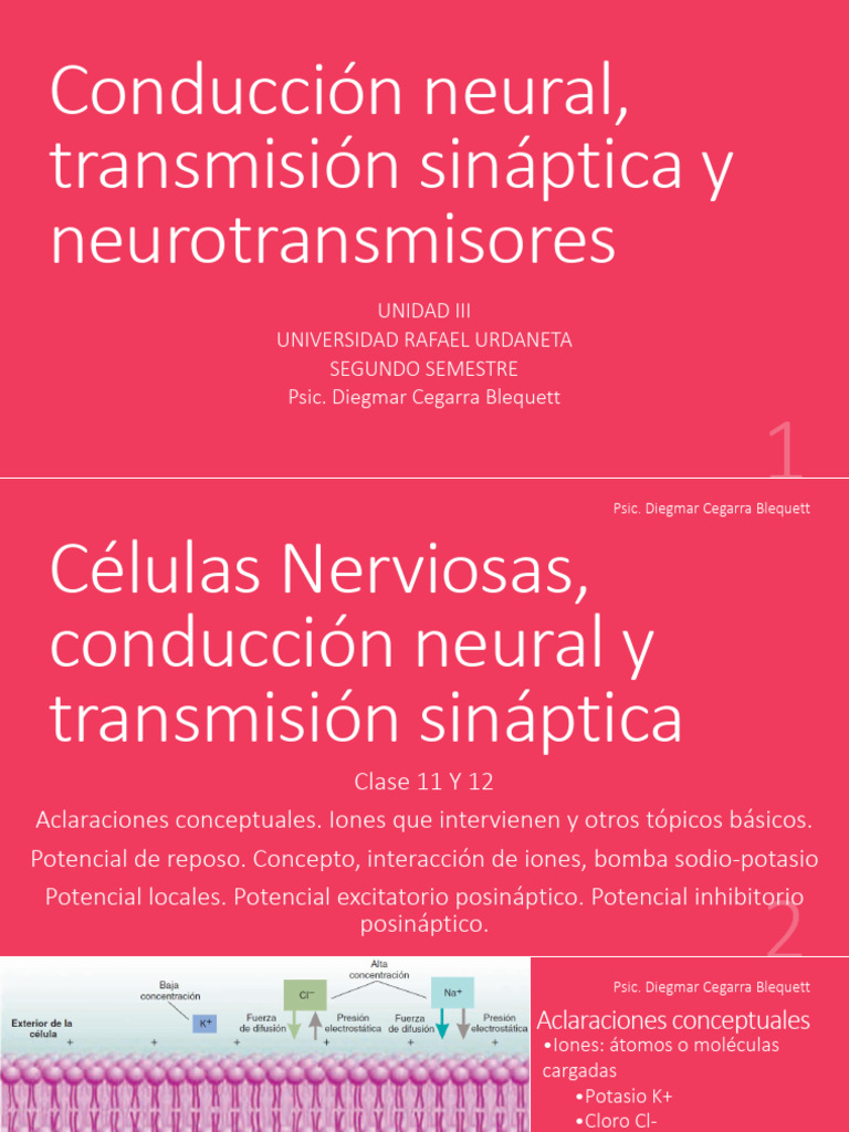 Conducción Neural y Neurotransmisores | PDF | Sinapsis | Serotonina
