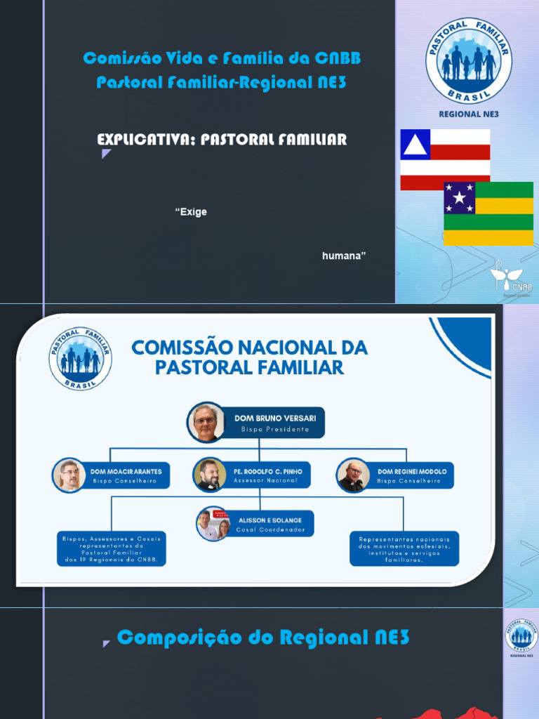 Pastoral Familiar: Guia e Objetivos NE3 | PDF | Família | Amor