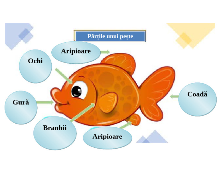 Partile Unui Peste | PDF